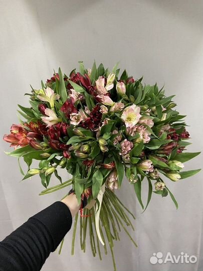 Букет из 51 альстромерии микс