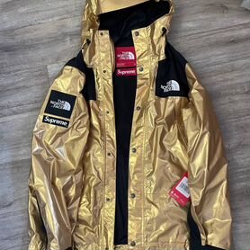 Supreme /The North Face Metallic Mountain Parka Go