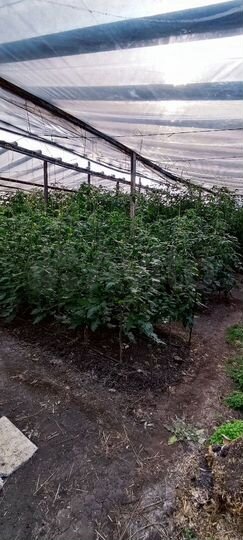 Дом 65 м² на участке 15 сот.