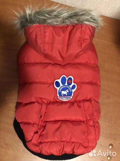 Зимняя куртка для собаки