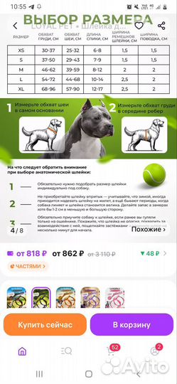 Шлейка с поводком