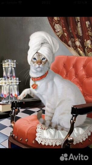 Грумер,груминг,стрижка кошек,собак и кроликов