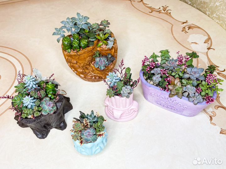 Минисадики с суккулентами. Грут