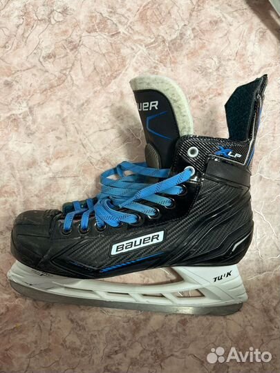 Коньки хоккейные Bauer Xlp