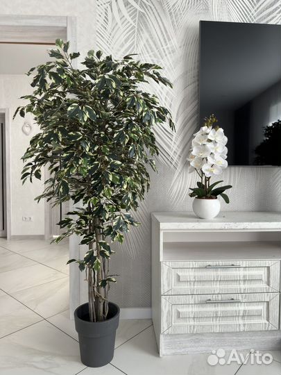 Искусственные цветы изИскусственное дерево в кашпо