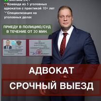 Выезд адвоката на задержание/обыск/арест/допрос, Кокошкино