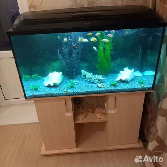 Аквариум с тумбой aquael