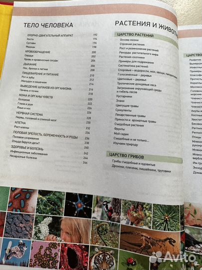 Большая школьная энциклопедия в вопросах и ответах