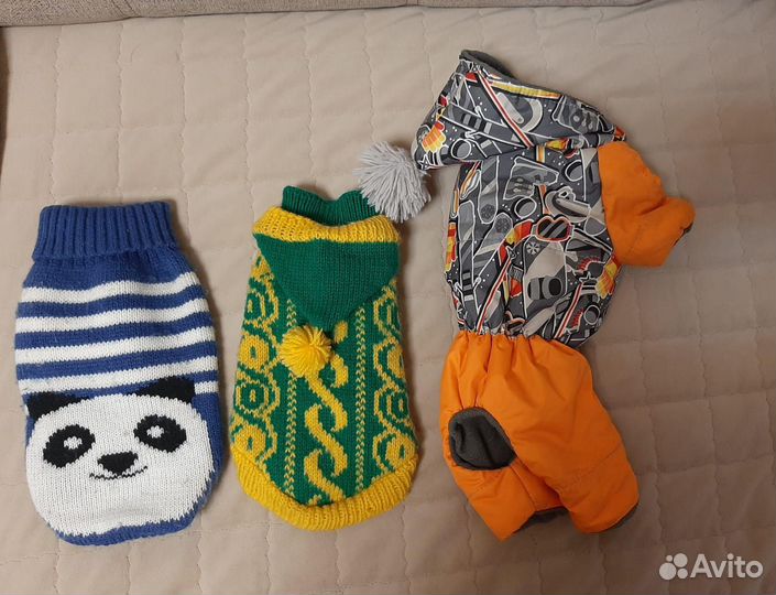 Одежда для собак