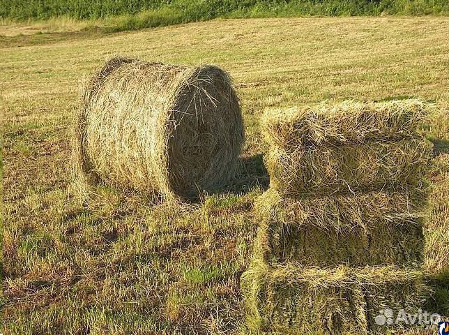 Сено