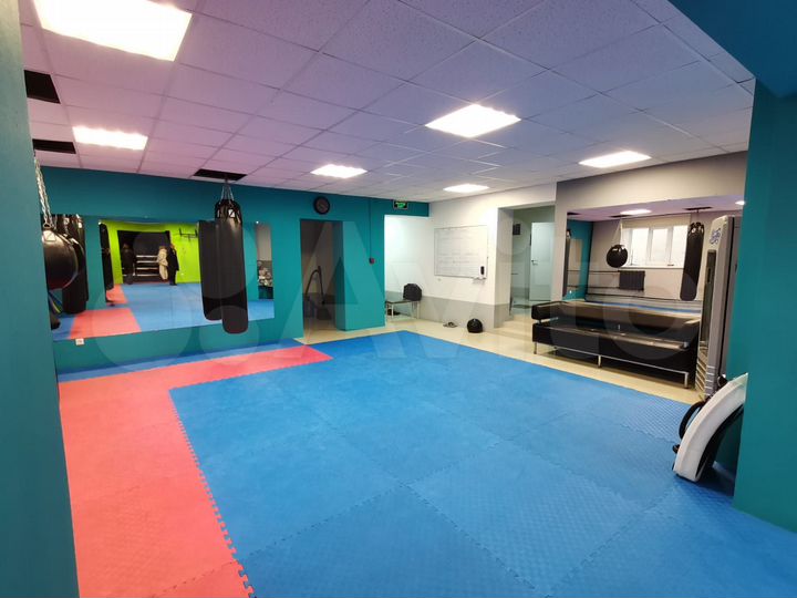 Торговая площадь, 231.7 м²