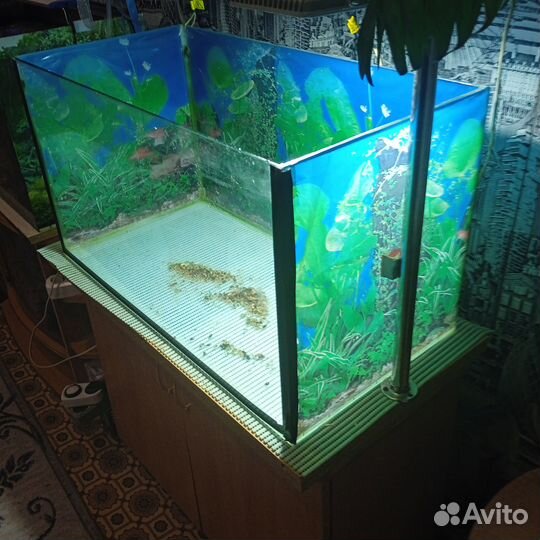 Аквариум