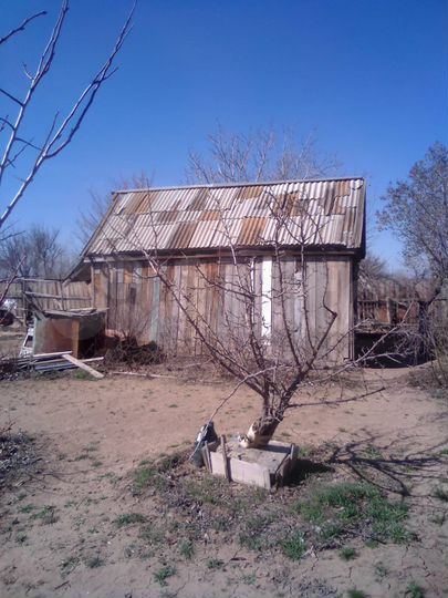 Дача 20 м² на участке 6 сот.