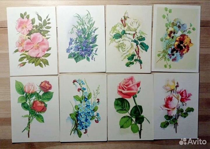8 открыток с цветами из одной серии 1960е