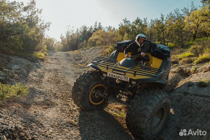 Прогулка на квадроцикле. Квадро гиганты