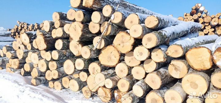 Круглый лес