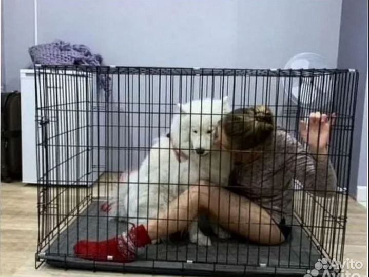 Клетка для собак. Собачья клетка. Новые. Иркутс