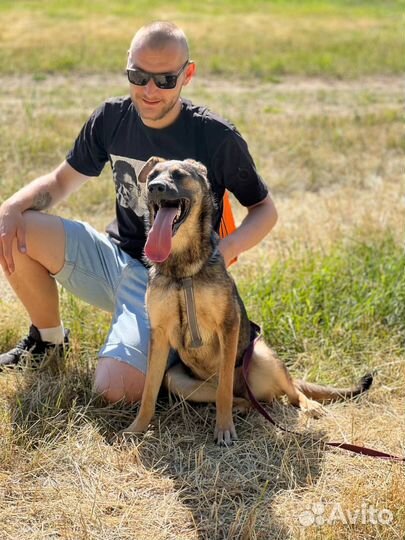 Собака в добрые руки щенок