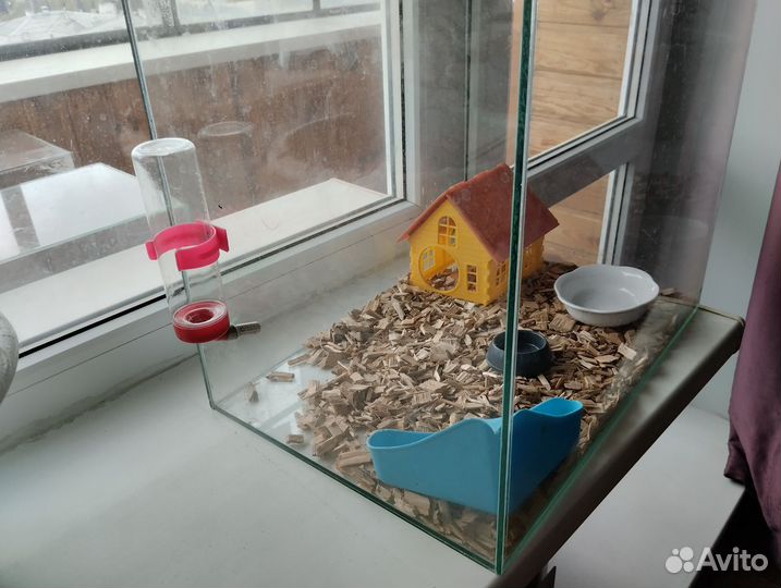 Аквариум для хомяка