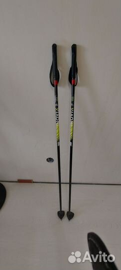 Лыжные палки