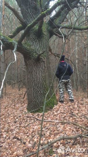 Дуб декор для лестниц