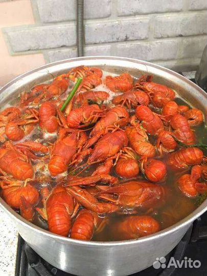 Раки варёные с доставкой