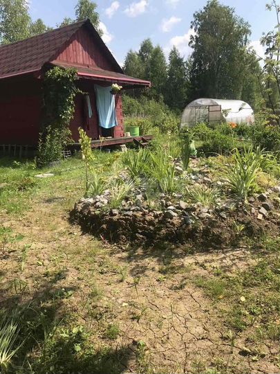 Дача 12 м² на участке 12 сот.