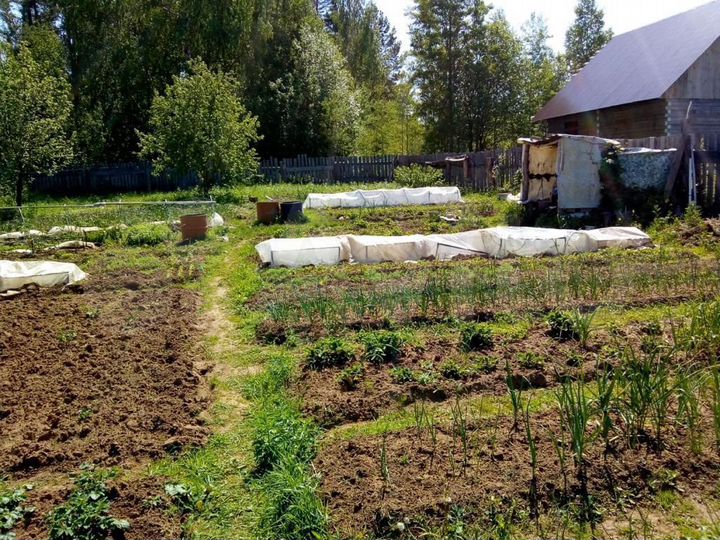 Участок 8 сот. (СНТ, ДНП)