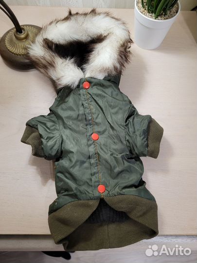 Одежда для маленьких собак