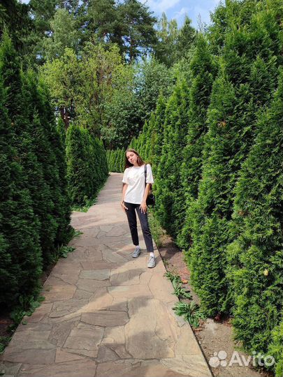 Репетитор по биологии