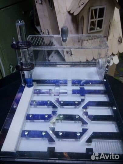 Космическая Муравьиная ферма