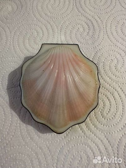 Пудриница Ракушка