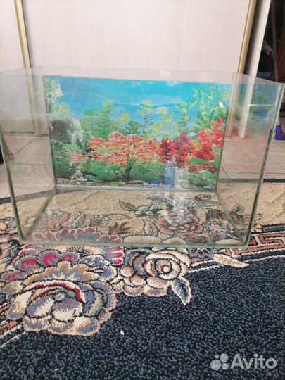 Аквариум