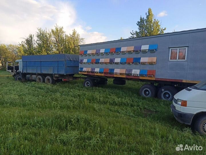 Прицеп-дача ABI Ace, 2022