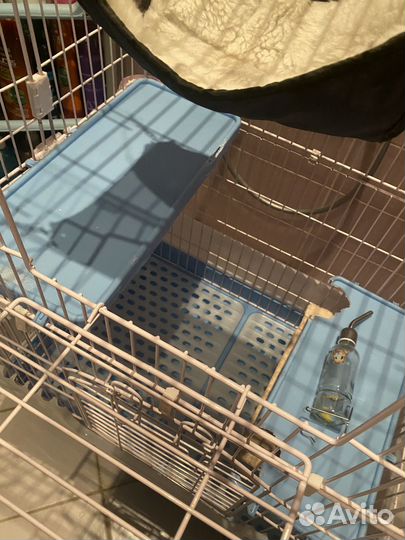 Клетка для грызунов