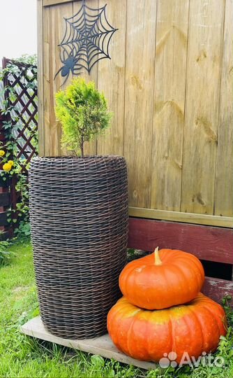 Кашпо для цветов