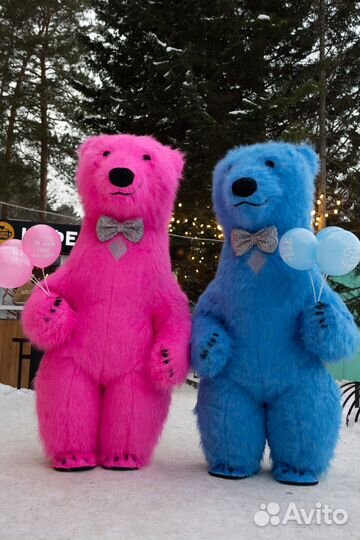 Поздравление от Гигантского Медведя 2,6 метра