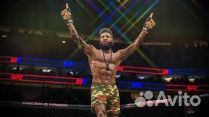 UFC 4 PS4/PS5 Норильск