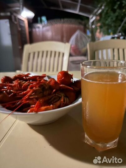 Раки речные