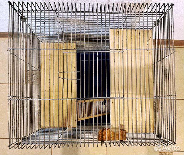 Клетка для грызунов 500*560*660