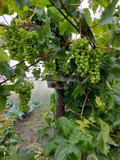 Дом 206,6 м² на участке 16 сот.