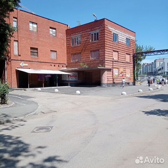 Голец н/р Камчатка