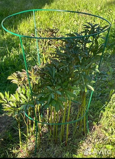 Опоры для пионов