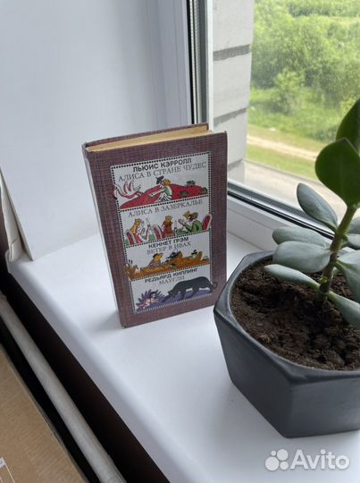 Алиса в стране чудес, Ветер в Ивах, Маугли