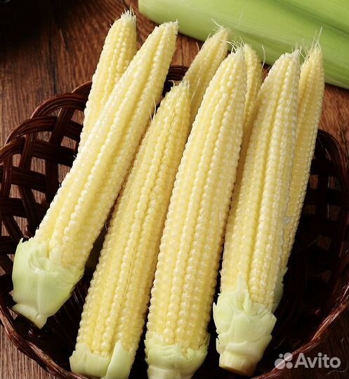 Семена кукурузы Миниголд F1