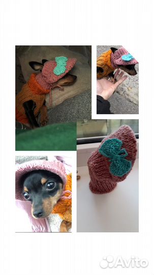 Одежда для маленьких собак