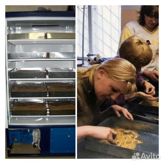 Противень для проб