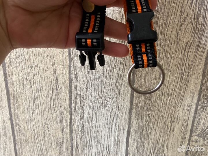 Ошейник для собак