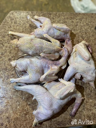 Мясо молодых петухов