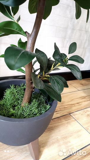 Искусственное дерево лимон